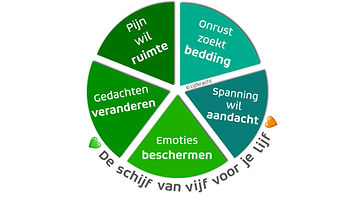 schijf van vijf.jpg