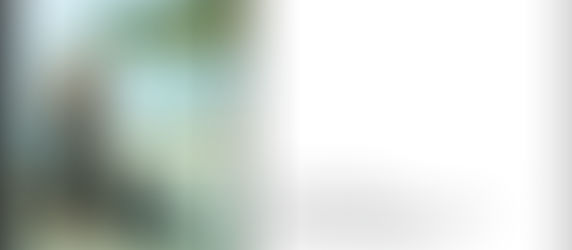 Finding Zen Between the Chaos: A Mother’s Journey to Presence and New Beginnings