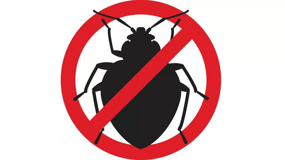 our mattress protectors stop bed bugs