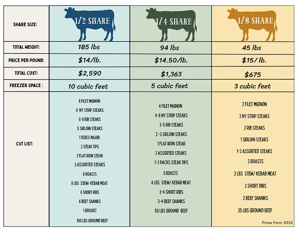 Share Size Comparison Chart Summer 2026 (1).png
