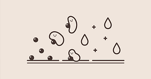 What Is Acne Bacteria? The Surprising Link Between Pimples and Skin Hydration