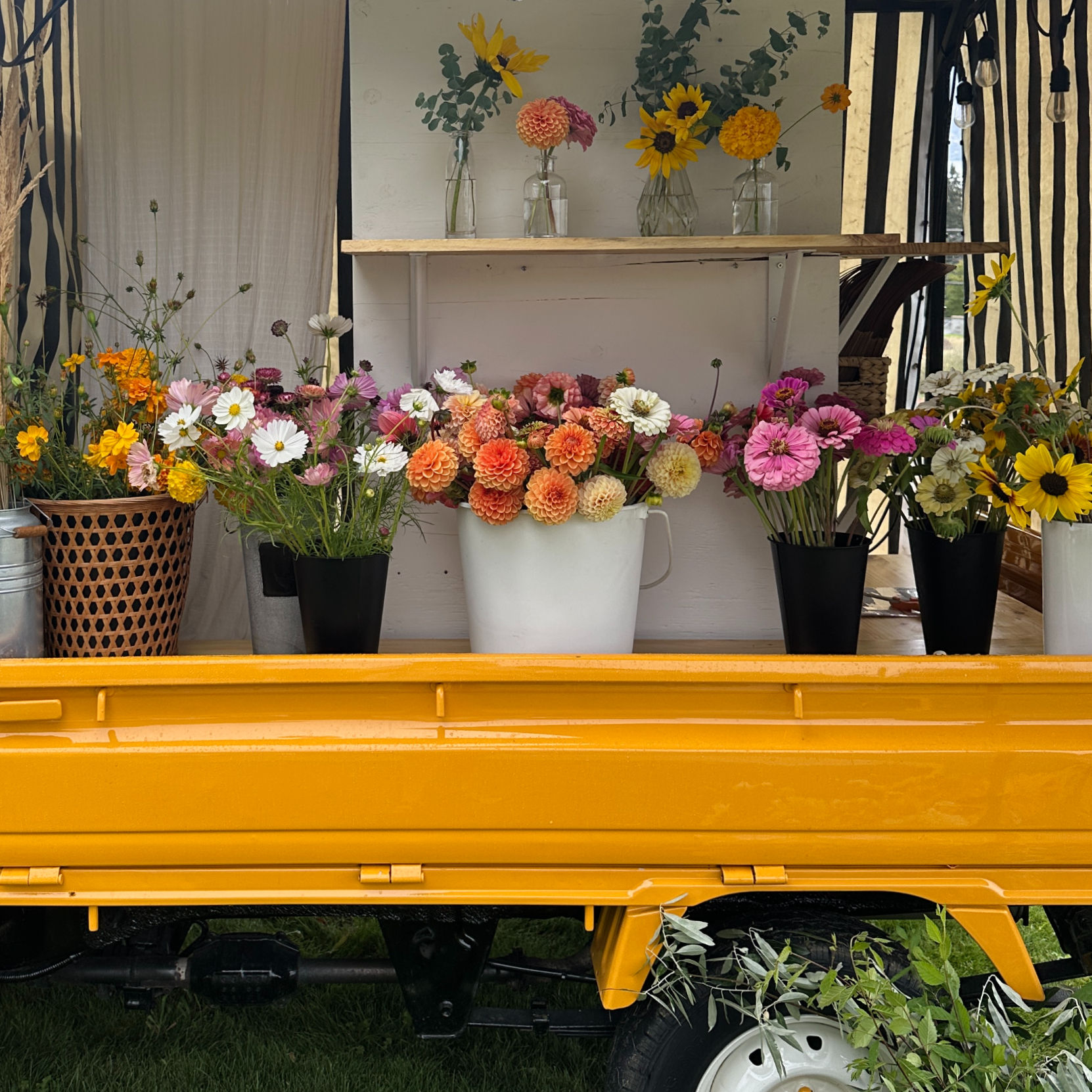 Grower's Choice Bulk Bucket - 2 days notice required