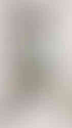 DIY patriotic bathroom decor