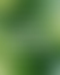 Day 31 (40-Day Affirmation Challenge)