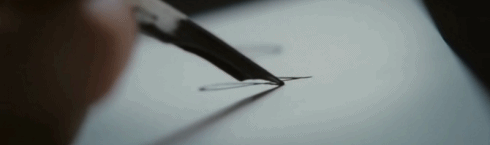 gif-plume-sur-papier-nature-and-culture.