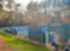 IMG_5423_edited.jpg
