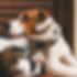 connor-home-5tauz4uFeDo-unsplash 2.png