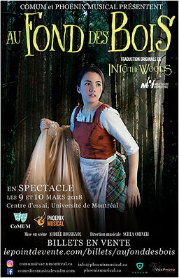 Affiche officielle Cendrillon - Production 2017-2018 par CoMUM - Au fond des bois