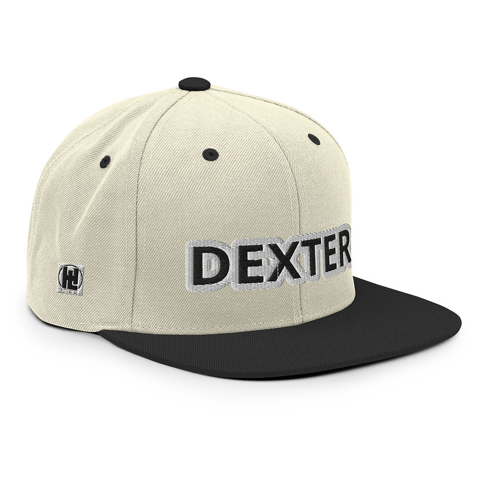 थंबनेल: Dexter Snapback Hat