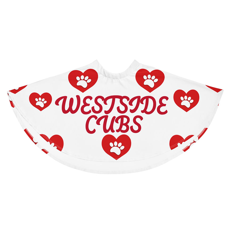 WESTSIDE Skater Skirt