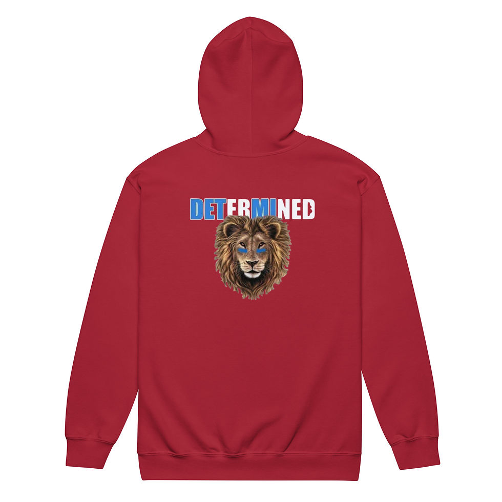 Thumbnail: Detroit Determined zip hoodie 