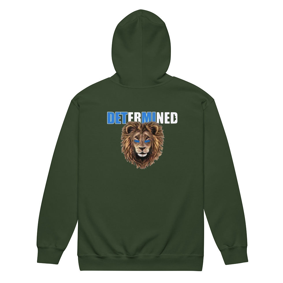 Thumbnail: Detroit Determined zip hoodie 
