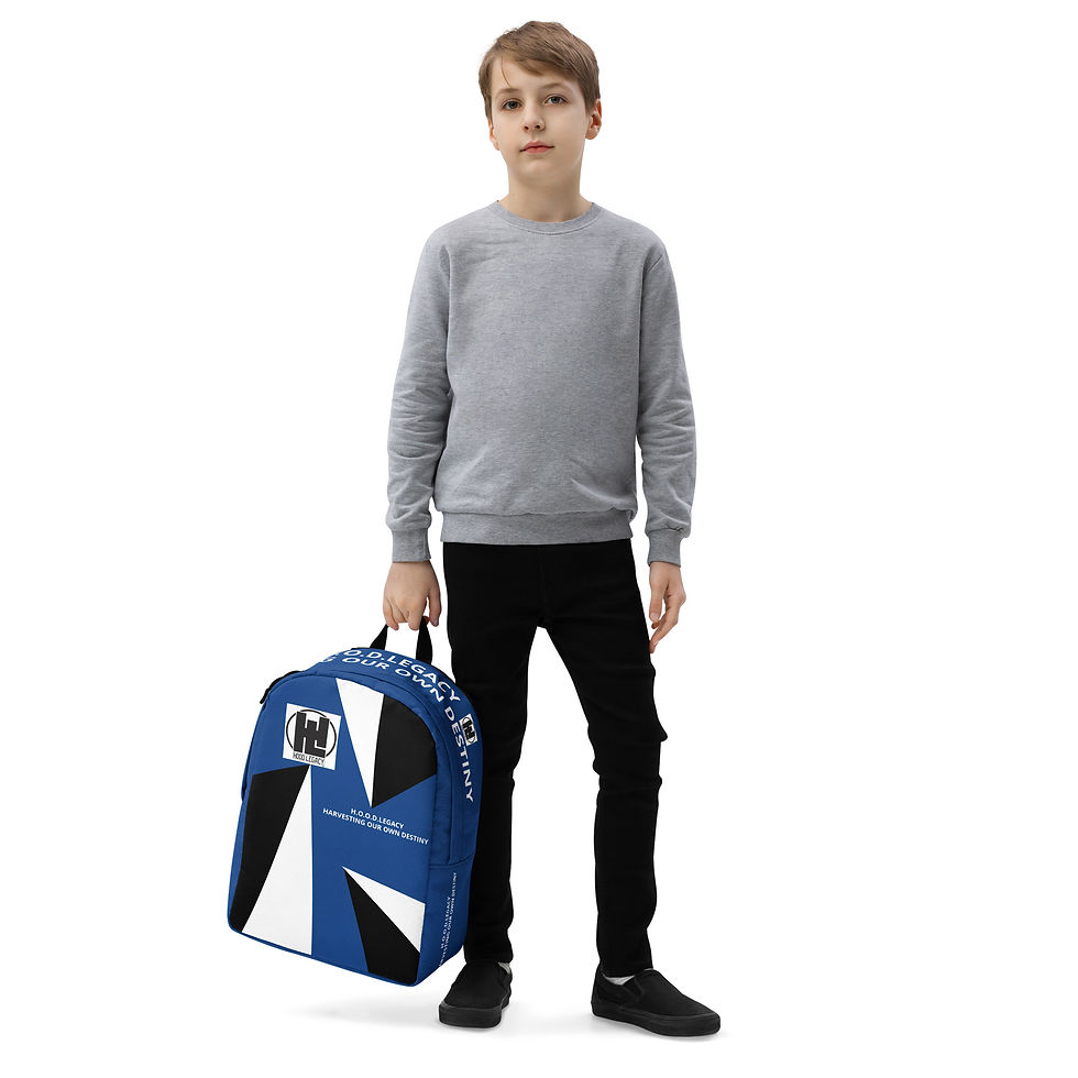 Μικρογραφία: H.O.O.D.LEGACY Backpack 