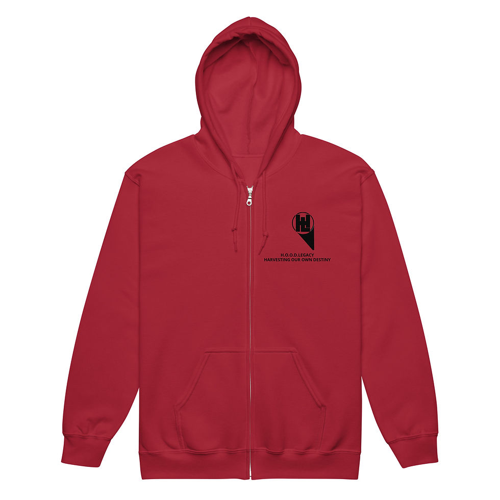 Miniatură: Detroit Determined zip hoodie 