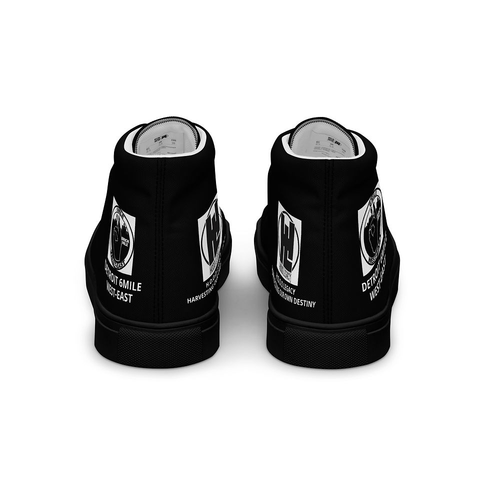 Thumbnail: 6mile high top shoes