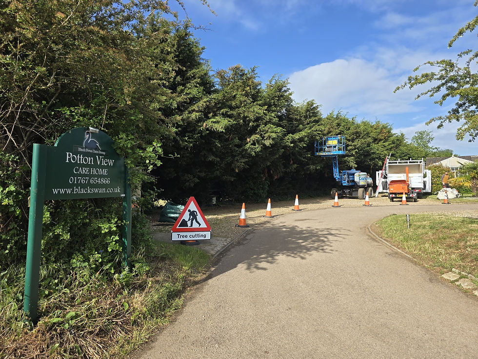 Root to Crown Preparing a Site with Tree Removal and Hedge Clearance