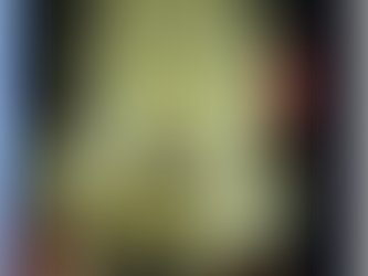 Exploring the Connection Between Sacro-Occipital Technique and Sphenobasilar Balance in Chiropractic Care