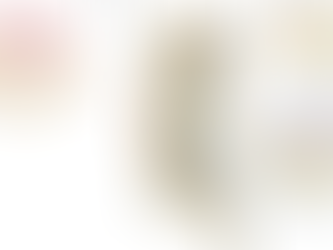 Exploring the Role of Sympathetic Nerve Supply in Intervertebral Disc Health