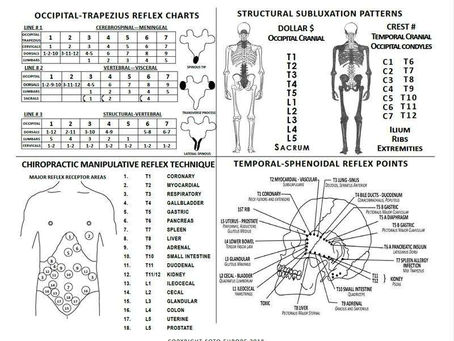 Understanding Somato-Visceral and Viscero-Somatic Reflexes in Chiropractic Practice