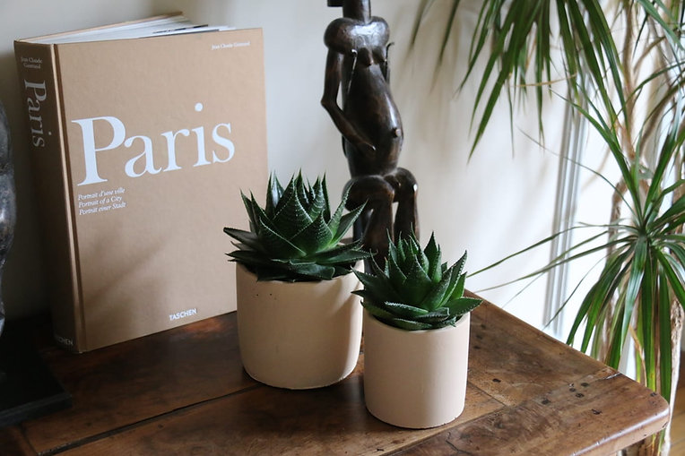 COUVERTURE-CACHE-POTS:PLANTES.jpeg