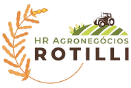 ROTILLI.png