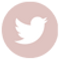 icontwit_mini.png