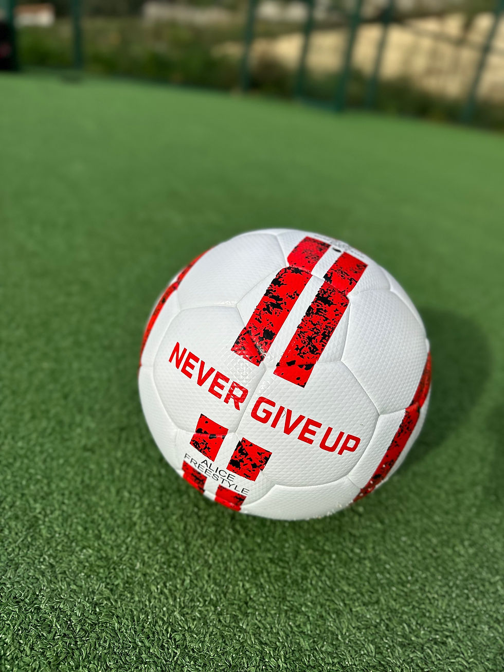 Miniature : Ball NGU Never give up