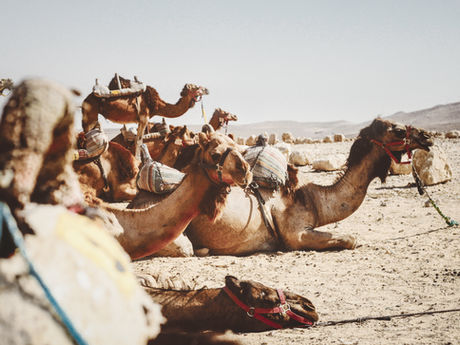 Saudi Arabia: the next emerging market