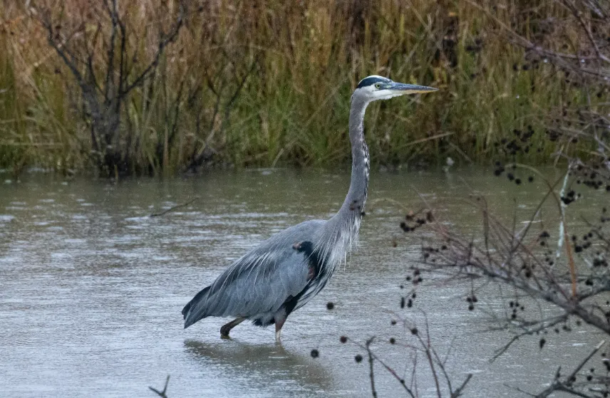 Southern Maryland