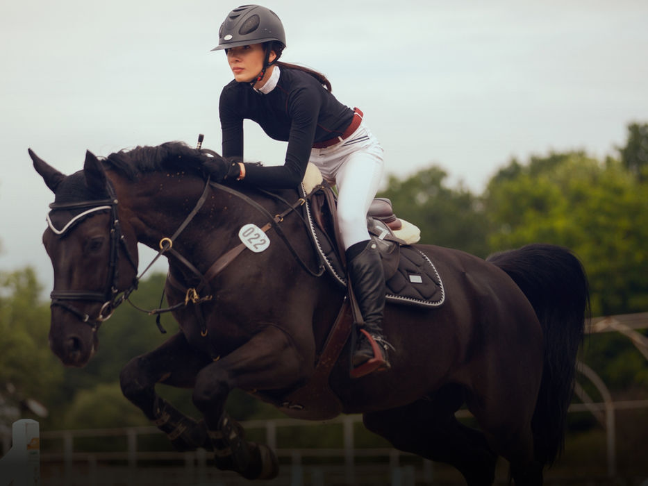 Welcome to a world where horse lovers thrive, and every ride is an opportunity for adventure, connection, and personal growth. In this guide, we’ll explore the diverse equestrian offerings in Maryland, showcasing the best riding schools, boarding facilities, competitions, and the enchanting communities that embrace this sophisticated lifestyle.