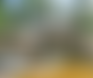 southern maryland Real Estate Highlights: July 2024 Market Report