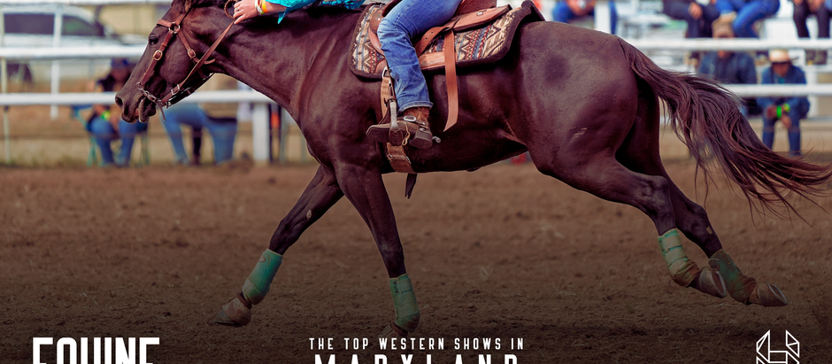 Top Western Shows in Maryland’s Equestrian Scene