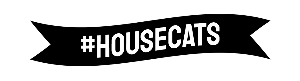 HOUSECATS (20).png