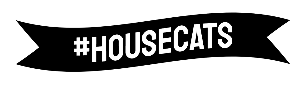 HOUSECATS (20).png