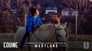 Therapeutic Riding Events and Showcases in Maryland