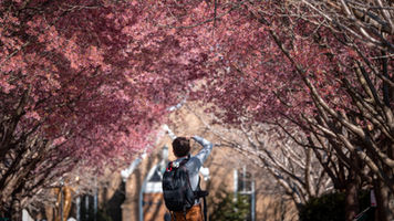 Spring Guide