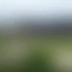 The BMW Championship: A Premier Golf Event in Maryland