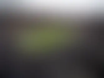 Chesapeake Bay Region Professional Sports