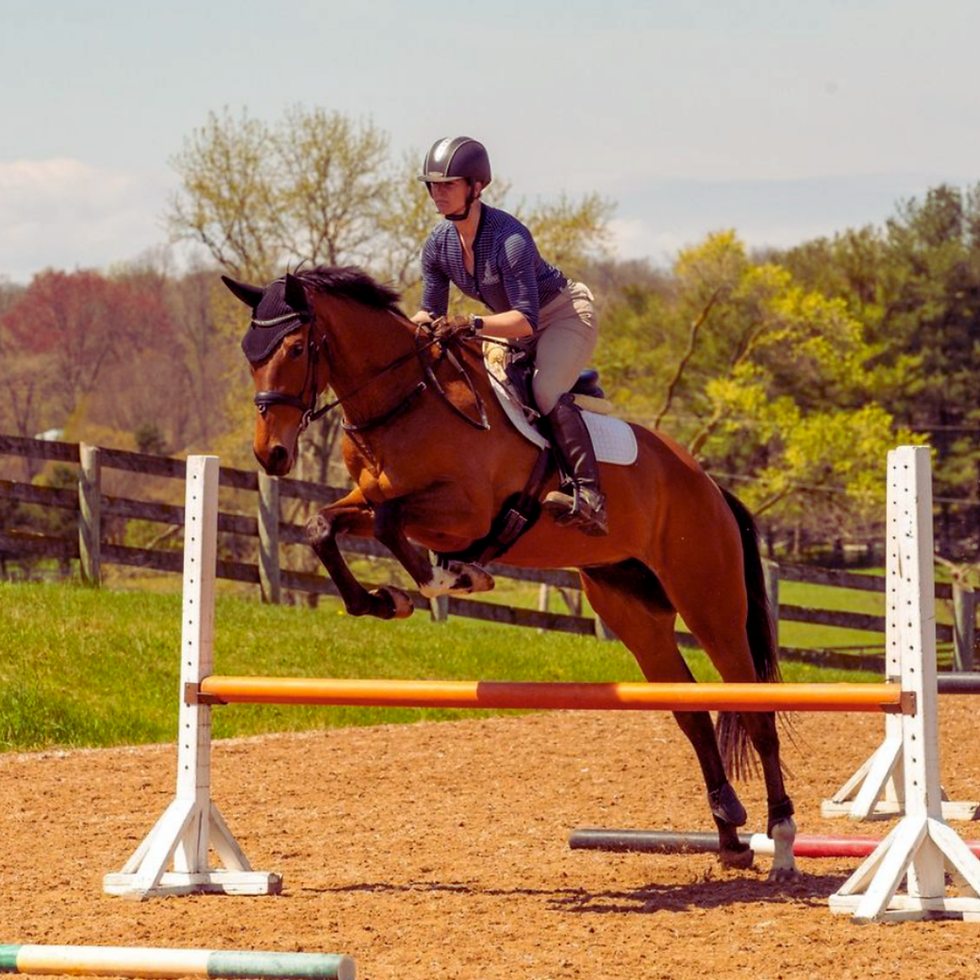 Equestrian Guide to the Chesapeake Region