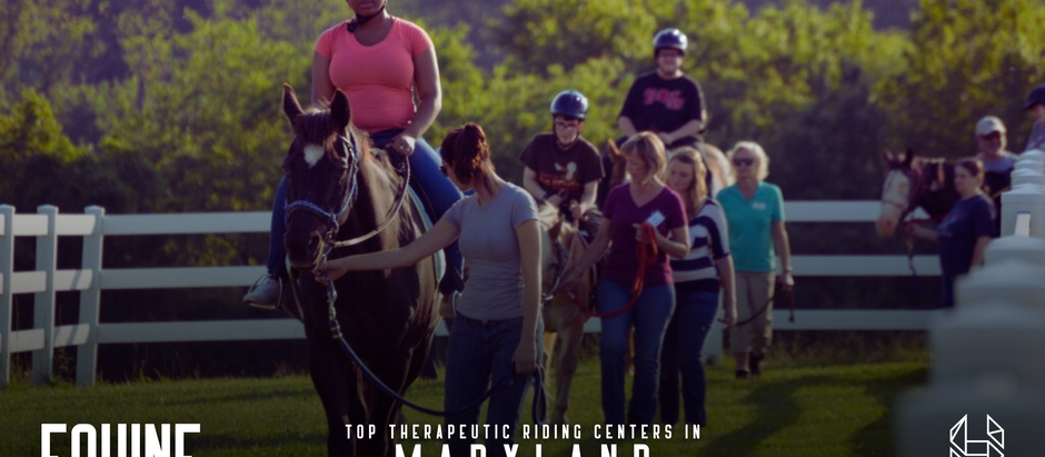 Top Therapeutic Riding Centers In Maryland