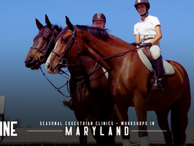 Seasonal Equestrian Clinics and Workshops in Maryland
