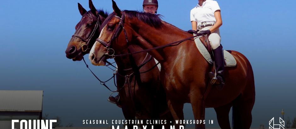 Seasonal Equestrian Clinics and Workshops in Maryland