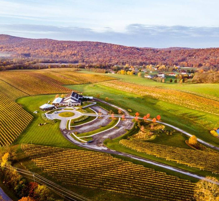 Set against Blue Ridge Mountain views, Big Cork offers innovative wines and whimsical branding in a relaxed, scenic environment