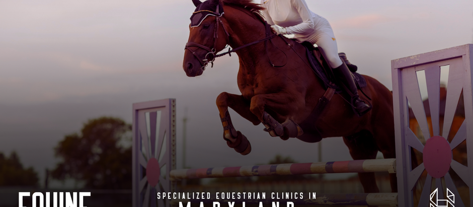 Specialized Equestrian Clinics in Maryland