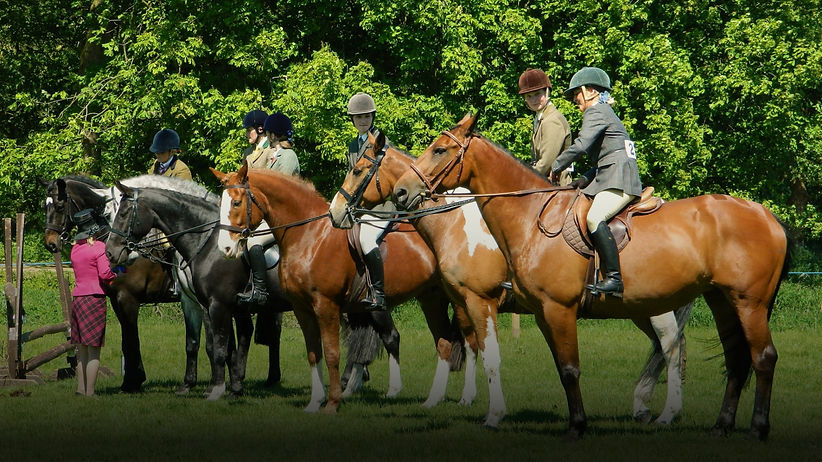 Maryland Equestrian Guide