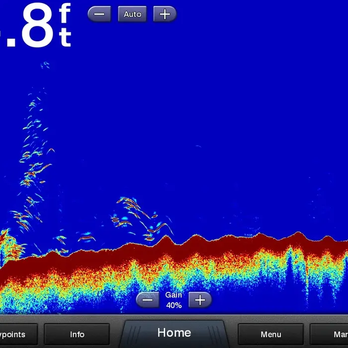 Fish finders and sonar help Chesapeake anglers locate striped bass, perch, and more while conserving time on the water
