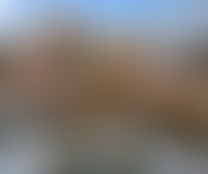 The Greater Annapolis Real Estate Highlights: November 2024 Market Report