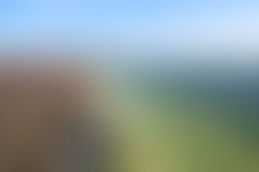 Pricing Strategy for Maximizing Value