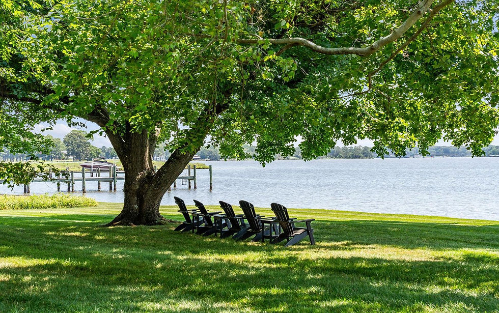 WATERFRONT
GUIDE