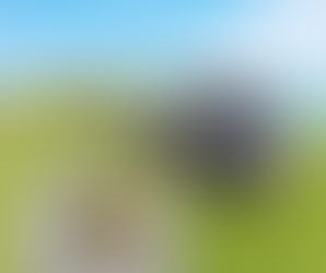 The Eastern Shore Real Estate Market July 2024 Market Report